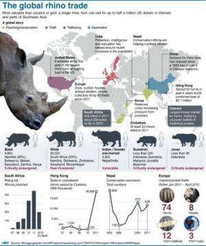 Graphic factfile on the global underground trade in poached rhino parts