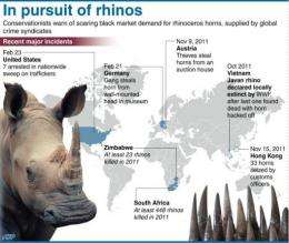 Graphic on recent rhinoceros poaching and horn trafficking incidents worldwide