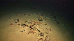 Greek experts find Roman wrecks nearly a mile deep