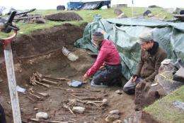 Greenland's viking settlers gorged on seals