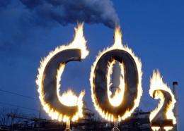 Greenpeace activists burn a symbol of carbon dioxide in 2008