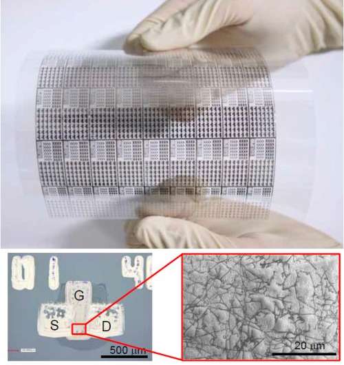 Group develops carbon nanotube based flexible display using flexographic printing technology