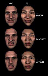 Group finds facial expressions not as universal as thought