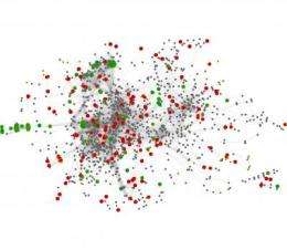 Gut microbe networks differ from norm in obese people, systems biology approach reveals