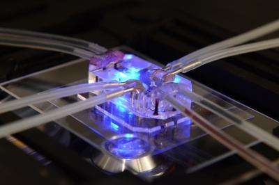 Harvard's Wyss Institute models a human disease in an organ-on-a-chip
