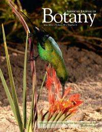 Herbivores select on floral architecture in a South African bird-pollinated plant