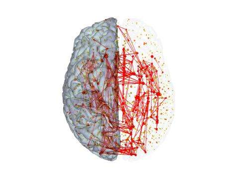 Highways of the brain: High-cost and high-capacity