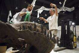Houston museum unveils $85 million dinosaur hall (AP)