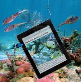 How is a Kindle like a cuttlefish