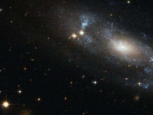 Hubble Eyes a Loose Spiral Galaxy