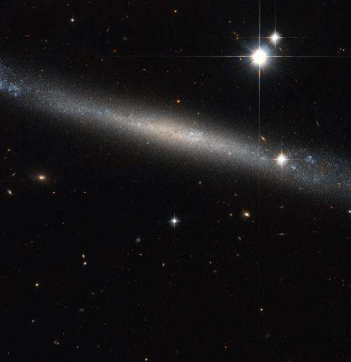Hubble Eyes the Needle Galaxy