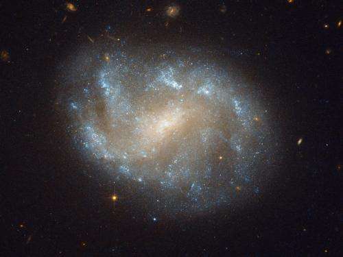 Hubble Image of Galaxies' El Dorado