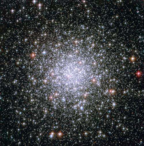 Hubble Sees Cosmic Riches