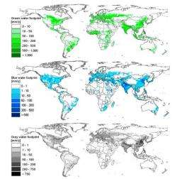 Research duo maps worldwide water footprint with high spatial resolution