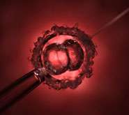 New research finds ideal number of embryos to implant during assisted conception