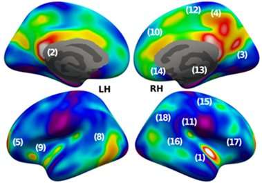 Imaging the network traffic in our brains