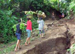 Incentives slow rainforest destruction, researcher says