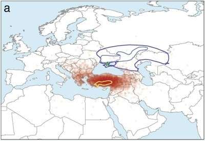 Indo-European languages originate in Anatolia