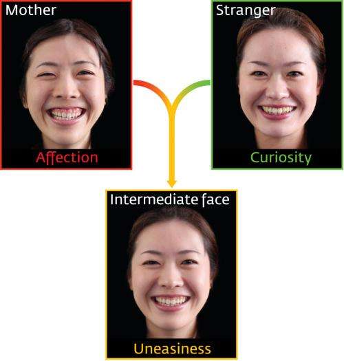 Infants show greater unease towards computer-morphed faces when shown 'half-mother' images