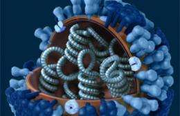 Influenza 'histone mimic' suppresses antiviral response