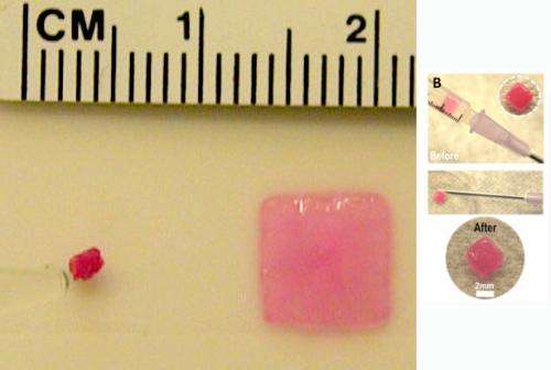 Injectable sponge delivers drugs, cells, and structure