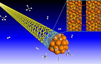 In nanotube growth, errors are not an option