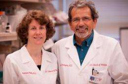 Intravenous kidney cell transplant experiments raise hope for future human kidney failure treatments