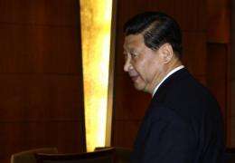 Investments of Chinese Vice President Xi Jinping's extended family total $376 million, Bloomberg claims