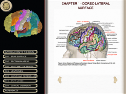 IoP Neuroscientists develop new 'Brain' App