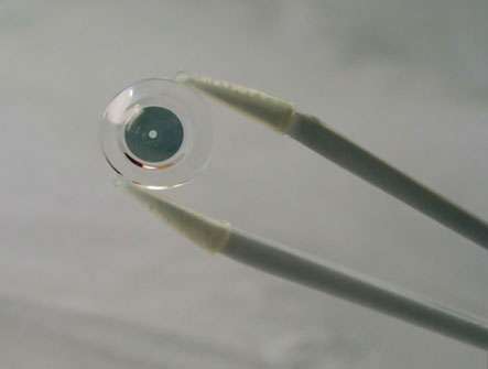  iOptik contact lens