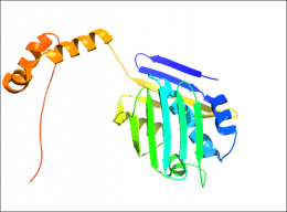 It takes two to tango: Pairs of entwined proteins handle the stress