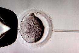 IVF babies at greater risk of heart problems in later life