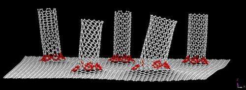 James' bond: A graphene / nanotube hybrid