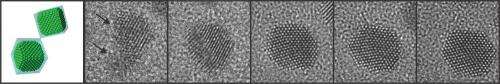 Physics group uses graphene to allow electron microscopy of liquid objects