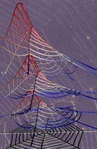 A spider web's strength lies in more than its silk
