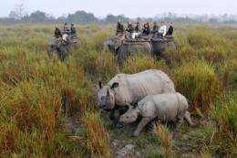 Kaziranga is home to the world's single largest population of one-horned rhinos
