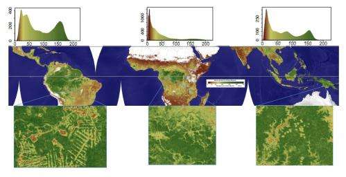 Carbon storage in tropical vegetation: New map to help developing nations track deforestation, report on emissions