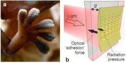 British team builds model showing metamaterials could be used to create gecko toe like adhesion