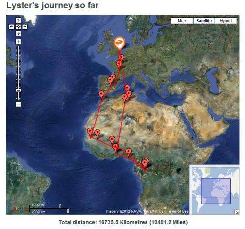 British ornithologists track cuckoo birds migration route