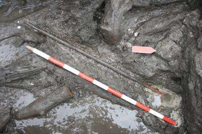 La Draga Neolithic site in Banyoles yields the oldest Neolithic bow discovered in Europe