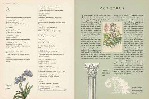 Latin for Gardeners--A useful, surprising, and beautiful resource