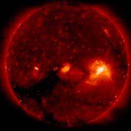 Loopholes discovered in Sun’s magnetic belt
