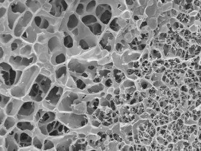 Lung mucus gel scaffold prevents nanoparticles from getting through