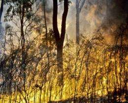 Managing fire and biodiversity