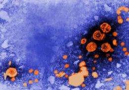 Many high-risk Americans don't get hepatitis B vaccine