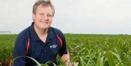 Maps of Miscanthus genome offer insight into grass evolution