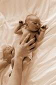 Massage therapy may enhance immunity in preterm infants