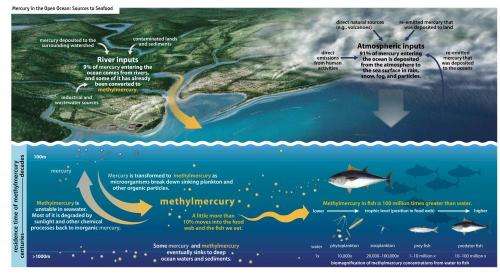 Mercury releases contaminate ocean fish: Dartmouth-led effort publishes major findings