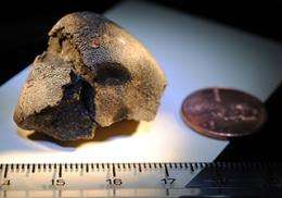 Meteorite hunt goes on, needs public's help