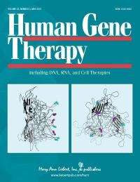 Method to prevent rejection of disease-fighting proteins described in Human Gene Therapy journal